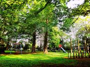 sigamasȃ̏隬̓eʐ^1