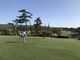 りょうさんの桑名国際ゴルフ倶楽部の投稿写真2