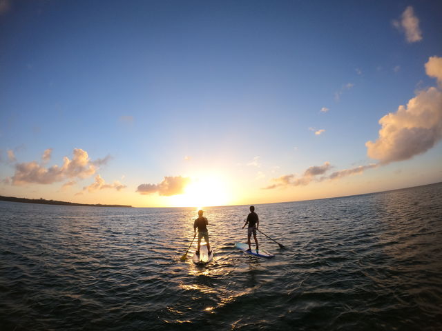 �[�����o�b�N��1���I_����S���_�C�u