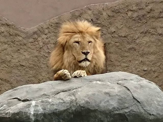 #���R������
#���C�I��_���R������