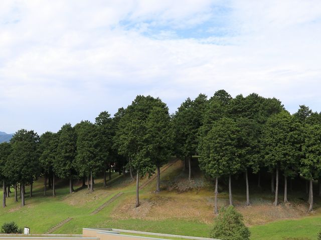 Yanwenli̕gqRÕ̓eʐ^6