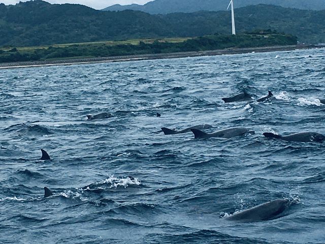 ����͈ꕔ�őS���Ƒ�R���܂���_�C���J�}�������[���h