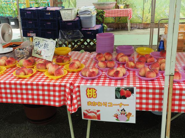 Hו͂MɐĂ̂ƂĂX^CB__O[vnEX