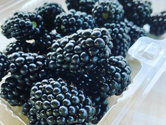 �u���b�N�x���[_�u���[�x���[�n�[�g�@�m��