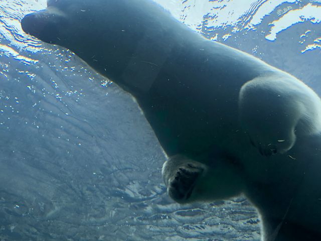 #�~�R������
#���F_�~�R������