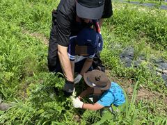 R~[̂ӂΑR_ւ̓eʐ^1