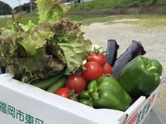 ƂƂ̃}Gt@[ւ̓eʐ^1