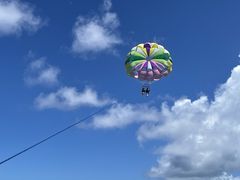 ̐Ί_u[V[T[ւ̓eʐ^1