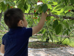 Ȃ񂳂̉ʎ̗@c_ւ̓eʐ^1