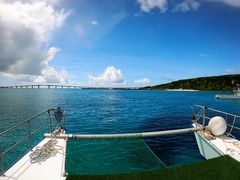 ΃_CjO-Perchill-̎ʐ^1