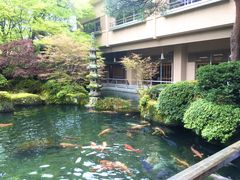 ܂炳̉C@قւ̓eʐ^1