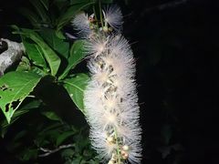 mamekoss̐\Rrgbvւ̓eʐ^1