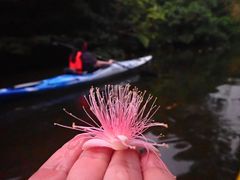 mamekoss̐\Rrgbvւ̓eʐ^2