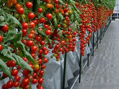 you-karîǂEEH[^[Et@[ւ̓eʐ^1