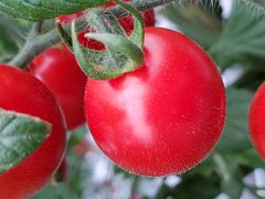 you-karîǂEEH[^[Et@[ւ̓eʐ^2