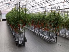 ̂ǂEEH[^[Et@[ւ̓eʐ^1