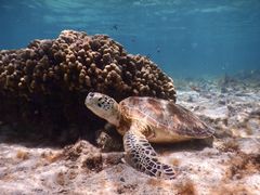 񂳂SEA ENJOYւ̓eʐ^1