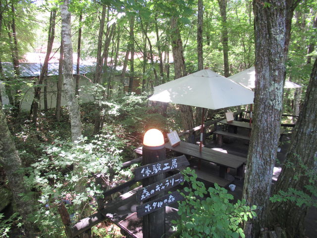 O̐He[uA͎ł܂B_ȃNtgBbWE[