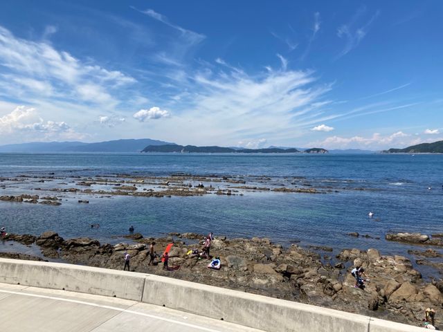 �e���X����̒���_�J�_�e���X