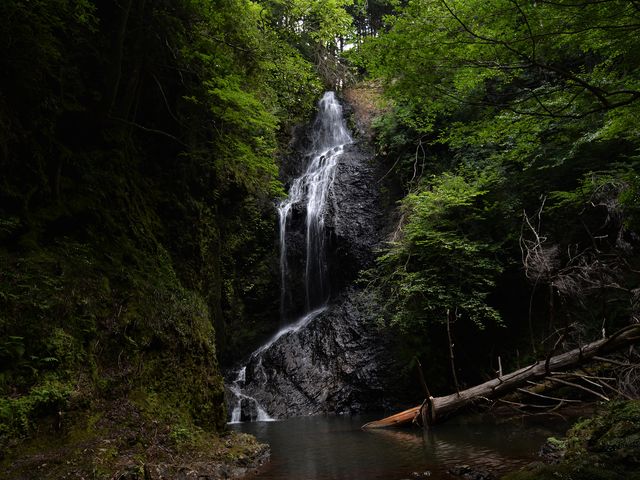 滝又の滝 絵画 日本画 京都の自然200選 嵯峨野 滝又の