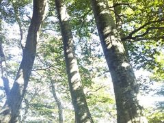 hokohokȏRւ̓eʐ^1