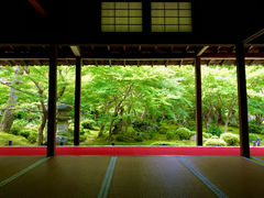 �t�������R����̚������ւ̓��e�ʐ^1