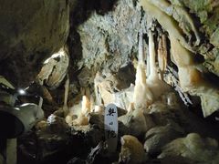 �Ղ����}�}����̓����������ւ̓��e�ʐ^1