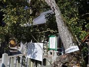 YanwenlîЂc_Ђ̓eʐ^7