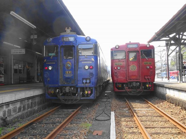 �l�g�w�ɂ�
�Ԃ���ԁ@�����Ԃ낤�E����؂�
����ԁ@���킹�݁E��܂���_�ό���ԁ@�����Ԃ낤��/����؂���