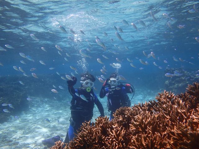 �ʐ^����R�B���Ē����܂����I
�����B�ɂ��J�����݂��Ă��ꂽ�̂ő�R�B��܂����I_BLUE ALOHA�{�Ó�