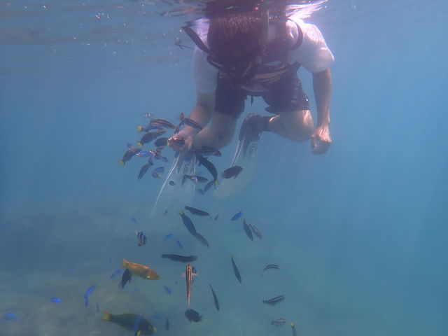 ��̒��Ɉ����Ă���H�p���ɋ��������Q�����Ă��܂��B_�����ό��U����@�}�����N���u�W���C