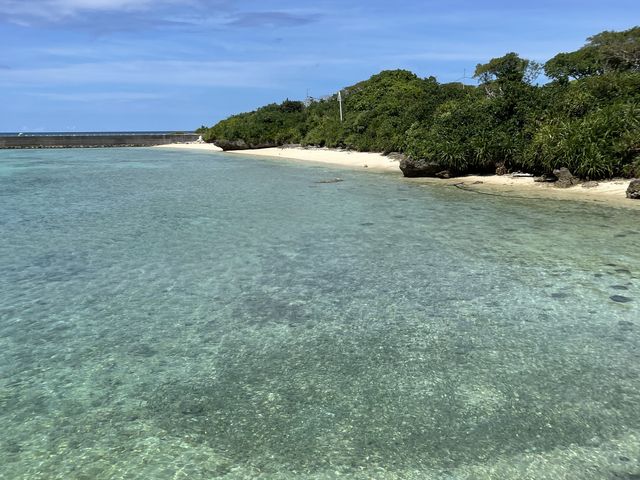 �����`�������Ƃܓ��I_���\�������X�[��