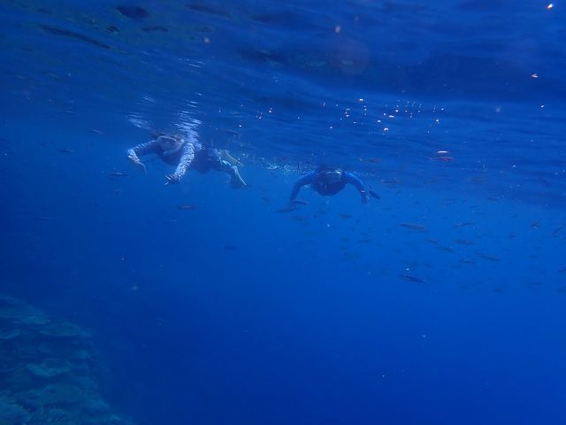 �����Ɖj�����I_���\�������X�[��