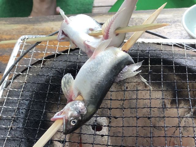 �����Ŏ�������͔������������ł��B_���������L�n�x�m