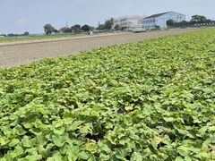 zii9oekdon̗ނ߃p[Nւ̓eʐ^1