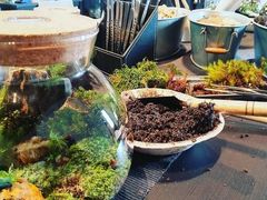 �͂΂˂낳��̑ۈ����-Scale-�ւ̓��e�ʐ^3