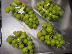 eBA􂳂̕ό_ւ̓eʐ^1