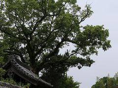 Yanwenli̔ˍZ̖ւ̓eʐ^2