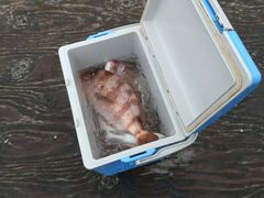 milk mamåCޖx@ނ̓Cւ̓eʐ^1