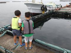 milk mamåCޖx@ނ̓Cւ̓eʐ^2