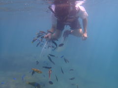 cipher̗όU@}NuWCւ̓eʐ^1