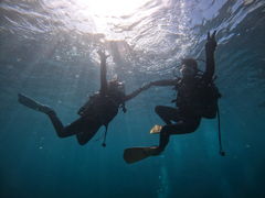 肳̃_Cu (MalDive)ւ̓eʐ^1