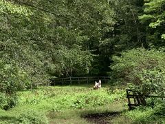 ݂̃cq@Ђ܂nNuւ̓eʐ^1