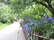 bh̊w̐_l@FV{̓eʐ^3