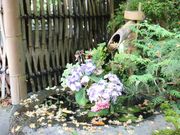 bh̊w̐_l@FV{̓eʐ^4