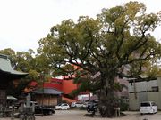 Yanwenli̖{_Ђ̓eʐ^3