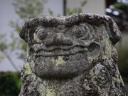 Yanwenli����̋n�z�V���Ђ̓��e�ʐ^4