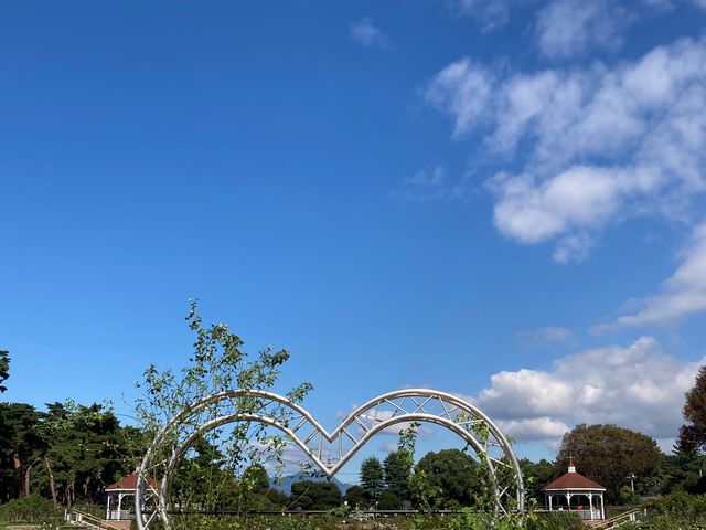 �~�������΂牀_�~�������΂牀