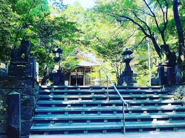 �F�ԋ{�̋����ł��B�����������G�߂ɂȂ��Ă��܂����B_�F�ԋ{