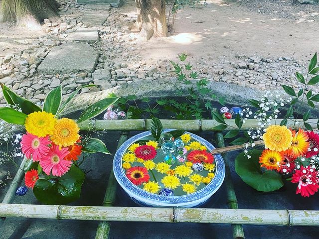 �Ԏ萅�ł��B�K�[�x�����K�N�̉Ԃ������ׂĂ���܂��B_�F�ԋ{